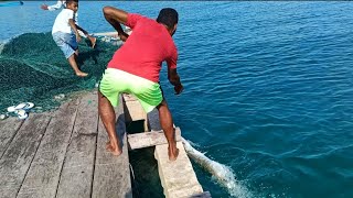 Panik Saat Monster penghuni jembatan kenal Pancing fishing on the bridge [upl. by Gipps]