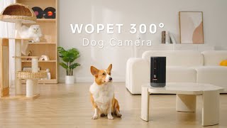 WOpet Newest Dog Treat Camera  Check on Your Pet Anytime Anywhere [upl. by Atekihc30]