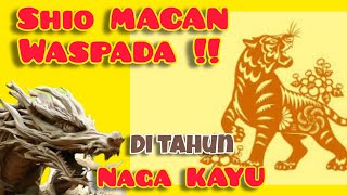 Shio Macan 2024  7 hal yg harus di waspadai di th Naga Kayu [upl. by Nordine]