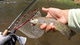 Colorado Fly Fishing  Euro Nymphing with high flows in Deckers Colorado [upl. by Marthe]