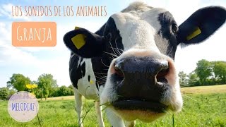 Sonidos de Animales de Granja para bebés y niños [upl. by Rogerson978]