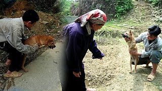 Boy rescues disabled dog lost on the street [upl. by Joyan]