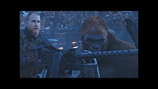 Caesar Kills Winter  Death Scene  War for the Planet of the Apes 2017LOWI [upl. by Ymia167]