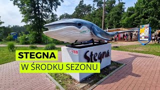 Jak wygląda Stegna w środku sezonu [upl. by Anit]