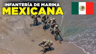 MÉXICO RECIBE LA MEJOR INFANTERÍA DE MARINA [upl. by Eemiaj83]