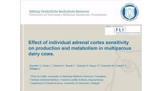 Effect of individual adrenal cortex sensitivity [upl. by Faith]