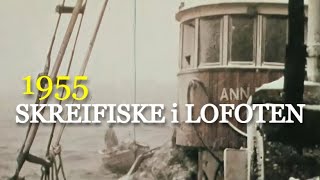 Skreifiske i Lofoten  1955 En kald opplevelse om vinteren [upl. by Coleville]