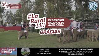 Remate de Ovinos Transmisión en vivo de Sociedad Rural Bahía Blanca 2023 [upl. by Eenaej]