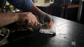 Learn how to Shuck Oysters with World Champion Shucker Patrick McMurray [upl. by Ennej330]