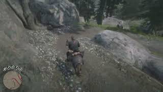 RDR2 Horseman Challenge 9 [upl. by Nedda]