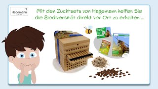 Hagemann Zuchtset Wildbienen [upl. by Ralyt]