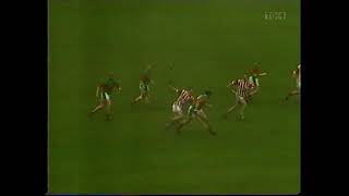 2002 Leinster Club Hurling Final Birr v Young Irelands [upl. by Kozloski348]