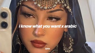 i know what you want x arabic ريمكس  شيرين  صبرى قليل tiktok song [upl. by Bowes235]