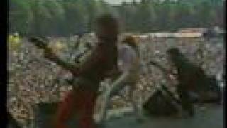 Y amp T  PINKPOP HOLLAND 1982 [upl. by Satsok]