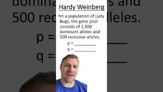 Hardy Weinberg Practice Problem [upl. by Radborne973]