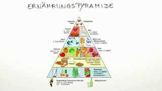 Was ist die Ernährungspyramide  Biologie  Mensch [upl. by Lonnie]