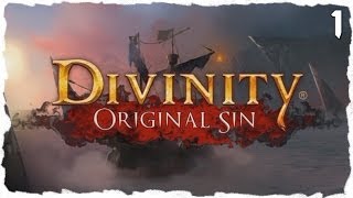 Divinity Original Sin 1  Die Retter von Cyseal  Lets Play Together Coop mit GamerinSarah [upl. by Nichols]