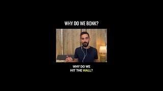 Why Do We Bonk [upl. by Kerrie]