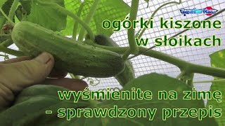 ogórki kiszone w słoikach wyśmienite na zimę sprawdzony przepis [upl. by Olegnaed]