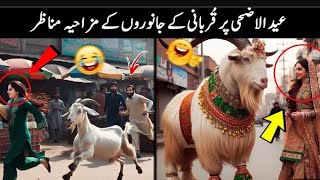 20 Most Funny Moments Of Qurbani Animals cow funny animals [upl. by Rustice520]