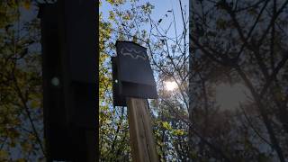 Holy Batman Is Guelph your Secret Gotham City Watch the 4K Footage for the Signs [upl. by Marcelia]