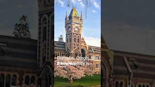 University of Otago Nurturing Excellence in Health Sciences Humanities and Sciences [upl. by Hairaza]