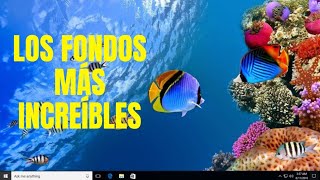 Como Poner Un Video De Fondo De Pantalla En Pc Windows 108187 [upl. by Goat423]