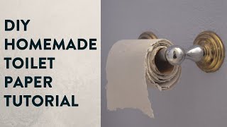 How to make Toilet Paper out of recycled paper at home DIY Homemade Toilet Paper Tutorial [upl. by Esinwahs]