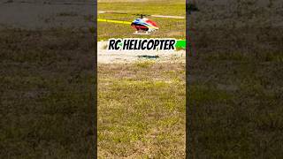 Are RC Helicopters Getting Too Realistic [upl. by Darach444]