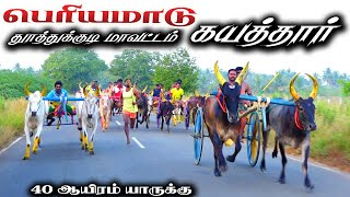 தூத்துக்குடிமா கயத்தார் 40 ஆயிரம்பந்தயம்24022024 [upl. by Akihdar]