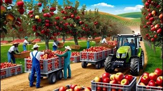 How to Grow Millions of Apple Trees Seedling Production Harvesting and Processing [upl. by Westberg317]