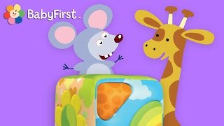 BabyFirst TV Wonderbox  Fun Cartoons Learn Colors Numbers and More  Preschool Videos [upl. by Pen]