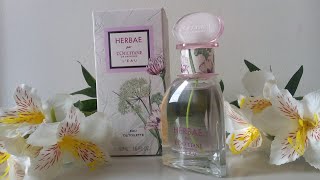 PERFUME HERBEA LEAU  LOccitane En Provence  RESENHA [upl. by Genia123]