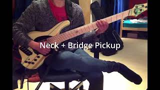 Dingwall John Taylor Signature Bass 5 String Demo Passive [upl. by Frost]