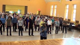 AINT THAT A KICK Line Dance  2013 Arnprior Ontario CANADA Workshop [upl. by Kcaz]