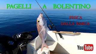 Canna  Pesca a BOLENTINO ai PAGELLI Fragolini dalla barca vicino Roma [upl. by Stewart]