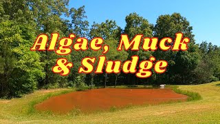 HOW TO Remove Algae Muck and Sludge from a Pond  Clearing Pond Water [upl. by Hugibert]