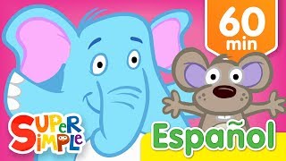 Abre Cierra Y Más Canciones Infantiles  Música Para Niños [upl. by Town]