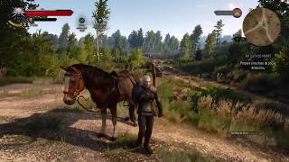 Vamos Jogar The Witcher 3  Completando a quest da herbalista Tomira [upl. by Aihseuqal161]