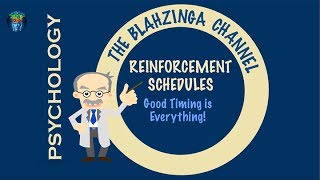 Reinforcement Schedules Good timing is everything [upl. by Primrose661]