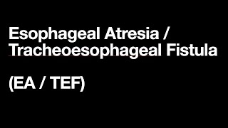 Esophageal Atresia and Tracheoesophageal Fistula [upl. by Iahk]