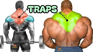 TRAPS WORKOUT 8 best exercises with dumbbells barbell cable only at home or gym [upl. by Suzetta715]