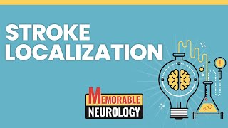 Stroke Localization Made Easy with Mnemonics Memorable Neurology Lecture 14 [upl. by Ailil]