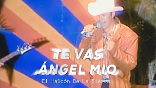 El Halcón de la Sierra  Te Vas Angel Mio Video Oficial [upl. by Zhang]