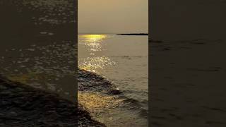 বালাসি ঘাট গাইবান্ধা Balashi Ghat Gaibandha  viralvideo reels balashi river gaibandha sunset [upl. by Enyrehtak]