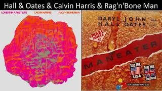 Mashup Hall amp Oates amp Calvin Harris amp RagnBone Man  Maneaters In A Past Life [upl. by Hayden634]