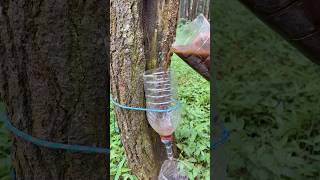 Survival skills Amazing dirty water purification filter💦 camping survival bushcraft outdoors [upl. by Arie213]