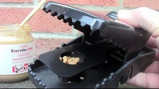 Rat Trap Unboxing and Testing [upl. by Nawk]