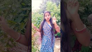 Bhojpuri trendingyoutube dance bhojpuri shorts youtubeshortvideo [upl. by Borman]