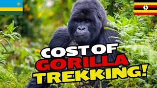 How Much Does It Cost To Trek Mountain Gorillas in the Wild [upl. by Solenne]